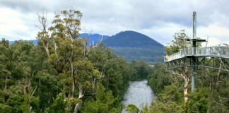Luxe attraction, Tahune Airwalk, has reopened after disaster Tahune Airwalk