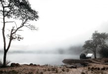 Take a break at this floating sauna in Tasmania